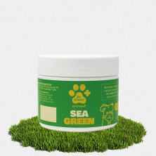 seagreen-100-grs-dr-green