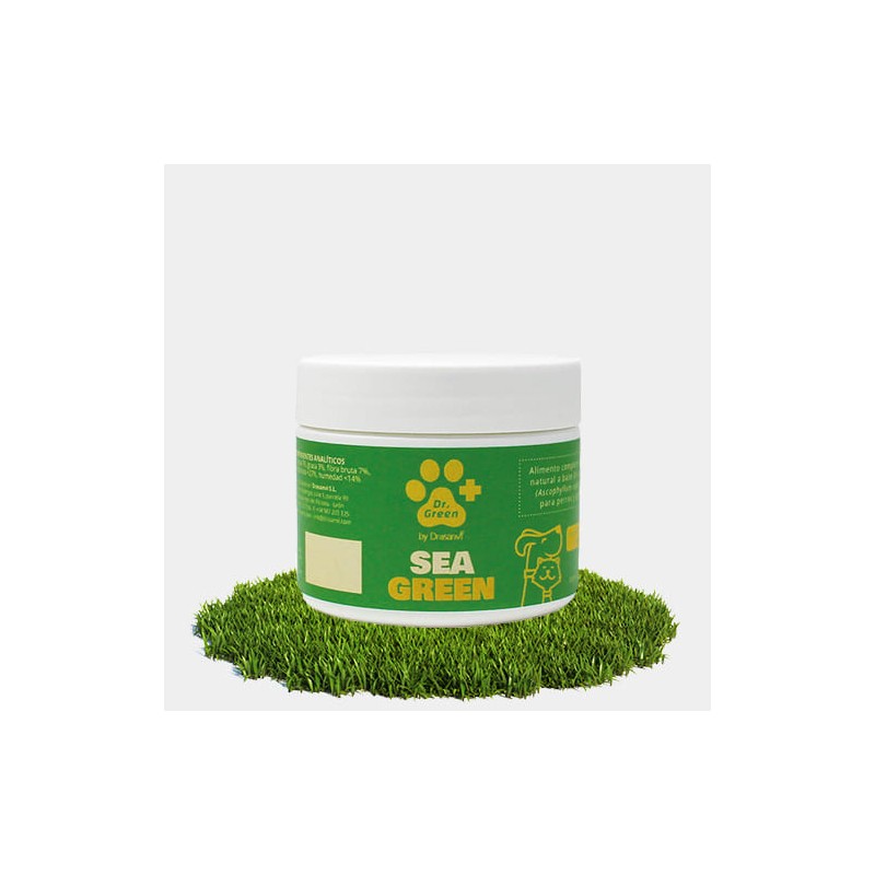 seagreen-100-grs-dr-green