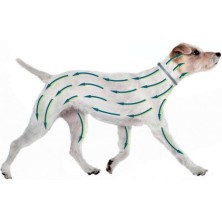 collar-antiparasitos-seresto-perros-pequenos