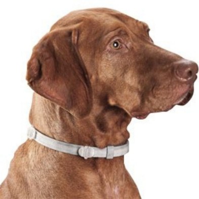 collar-antiparasitos-seresto-perros-grandes