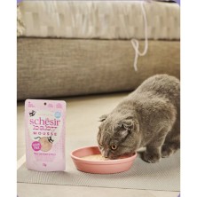 mousse-higado-de-pollo-para-gatitos-70-grs-schesir