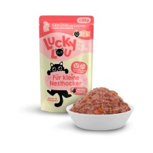 comida-humeda-para-gatitos-ave-de-corral