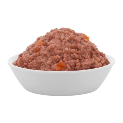 comida-humeda-para-gatitos-ave-de-corral