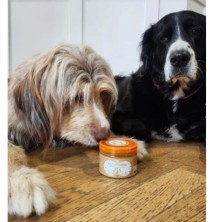 mantequilla-de-cacahuete-para-perros