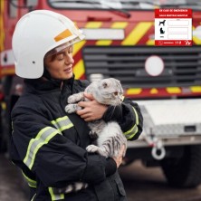 pegatina-emergencias-para-mascotas