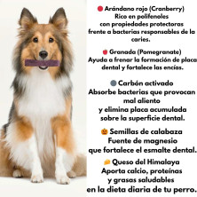 snack-barrita-himalayan-arandanos-dientes-y-boca