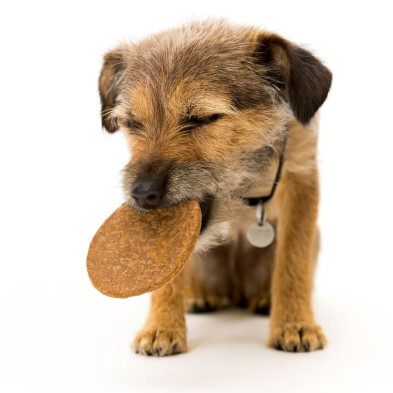 snack-hamburguesa-pavo-para-perros
