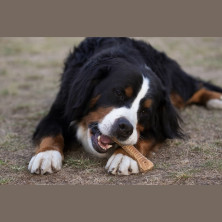 snack-hueso-ternera-para-perros-