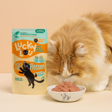 comida-humeda-gato-ave-y-trucha