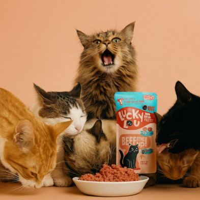 comida-humeda-gato-ave-de-corral-y-ternera