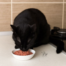 comida-humeda-para-gatos-esterilizados-ave-y-ternera