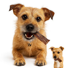 snack-cecina-ternera-perro-10-unidades