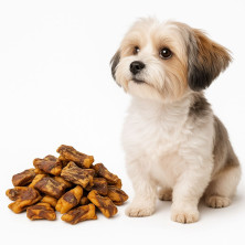 snack-bocado-pollo-manzana-250gr