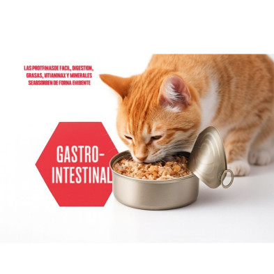 Schesir Comida Húmeda Gato - Gatrointestinal