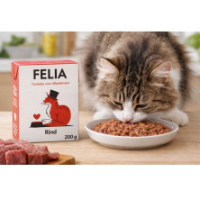 fredfelia-comida-humeda-ternera-gato