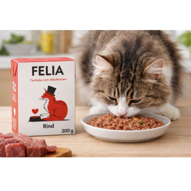 fredfelia-comida-humeda-ternera-gato