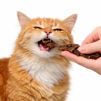 entrenadores-de-ternera-snack-perros-y-gatos