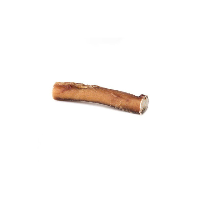 snack-nervio-de-toro-20-cms