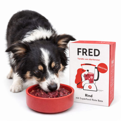 fredfelia-batido-ternera-escaramujo-perro