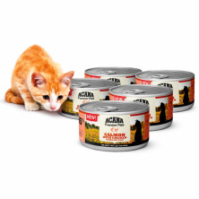 acana-gato-comida-humeda-salmon-pollo