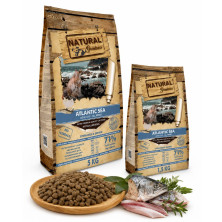atlantic-sea-natural-greatness-salmon-gatos