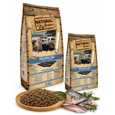 atlantic-sea-natural-greatness-salmon-gatos