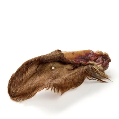 snack-natural-oreja-de-ternera-con-pelo-para-perros