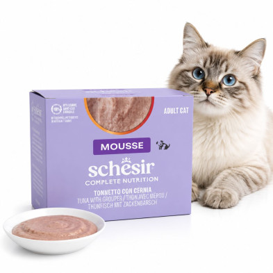 mousse-de-atun-con-mero-para-gatos-schesir-