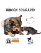 Rincón Solidario ANIMALUJOS para la ayuda a perros y gatos