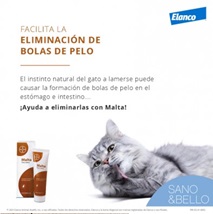 bolas-de-pelo-en-gatos